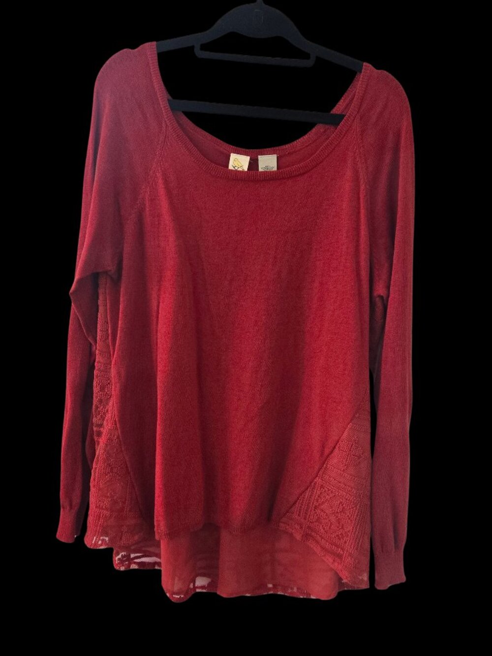 Anthropologie Burnt Orange Lace Detail Sweater – Size Large (NWT)